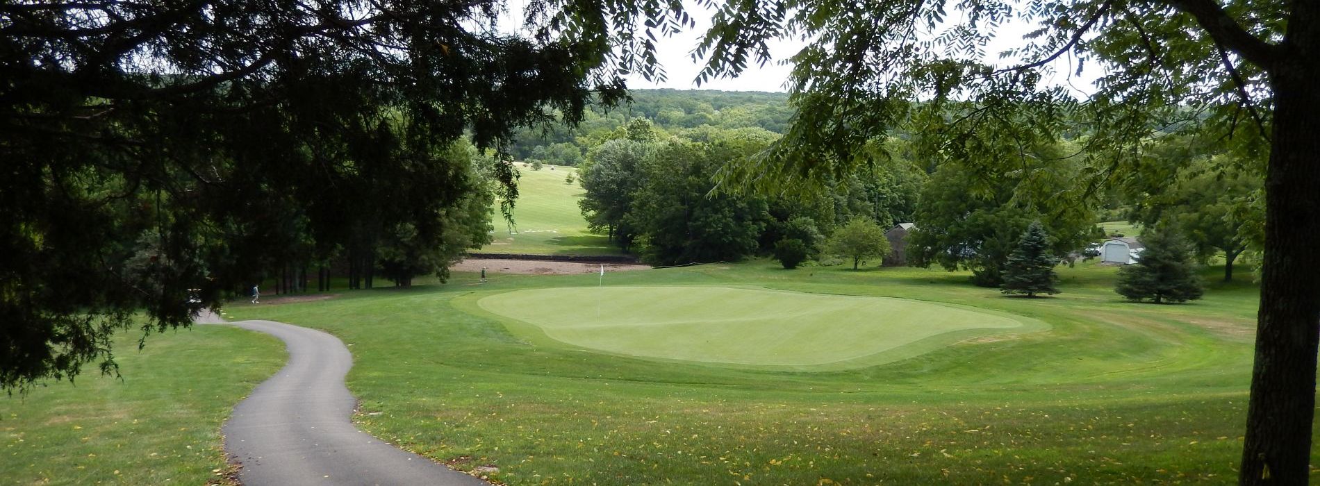 Cart path on golf course